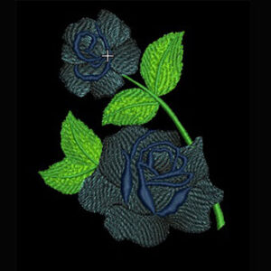 Two Shade Roses Single3  (4X4)