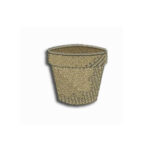 Cactus Cartoons - Image 8