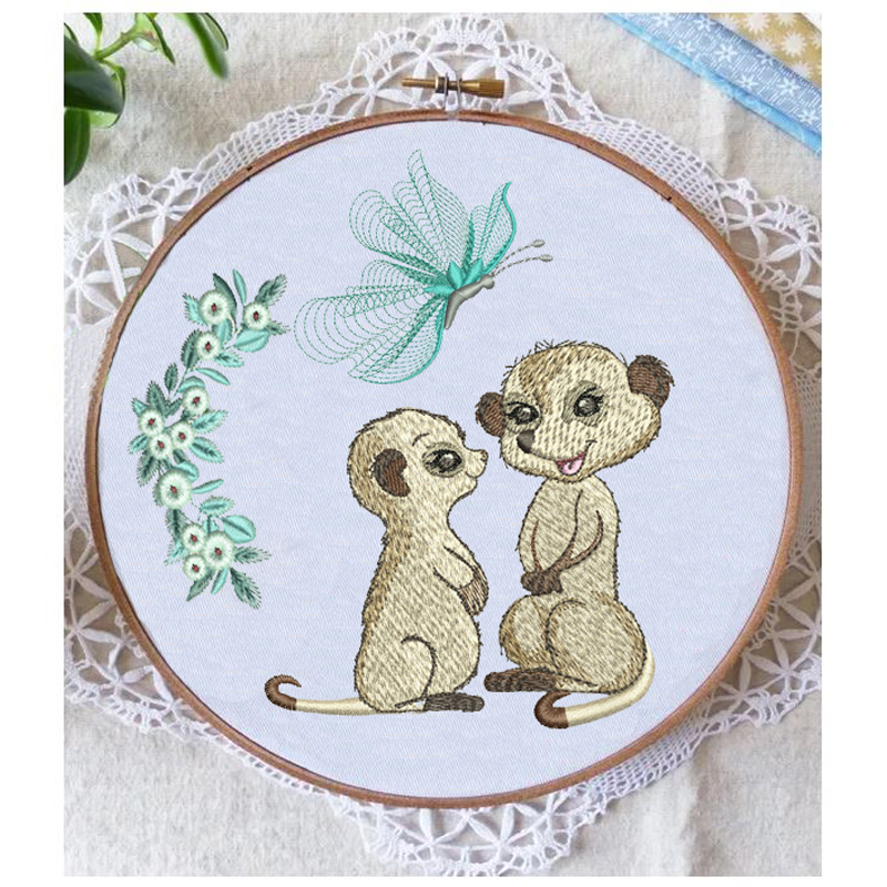 EDS304 Display pic Mongoose Designs - Image 1