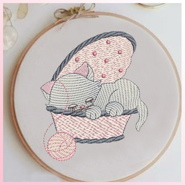 EDS743 Display Dazzle Cats - Image 1